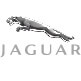 Jaguar-80-jpeg-logo