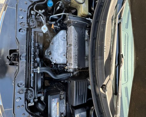 WhatsApp Image 2025-11-21 at 18.54.10