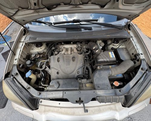 WhatsApp Image 2026-01-29 at 13.14.49