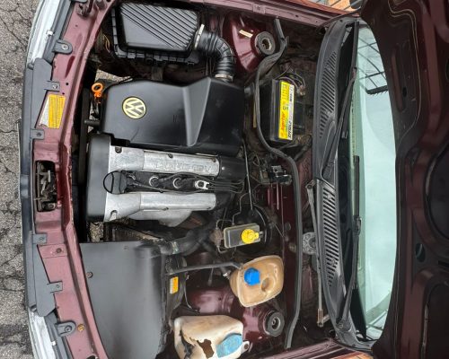 WhatsApp Image 2026-02-04 at 12.15.28 (2)