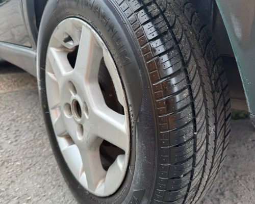 WhatsApp Image 2026-02-19 at 18.15.25