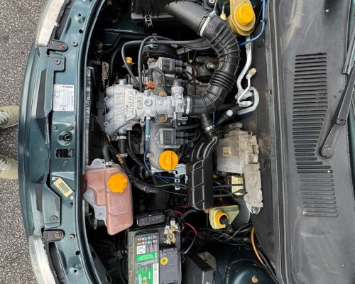 WhatsApp Image 2026-02-19 at 18.15.29