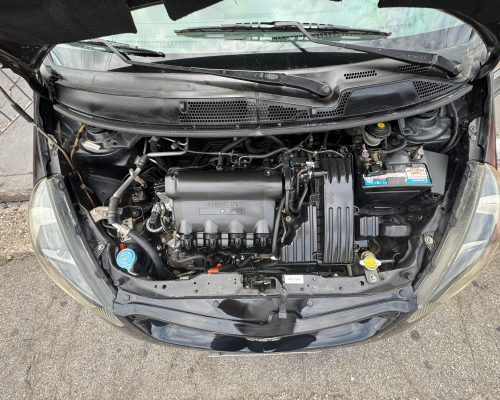 WhatsApp Image 2026-02-24 at 14.15.08