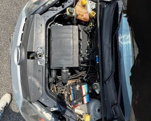 WhatsApp Image 2026-03-17 at 18.07.55